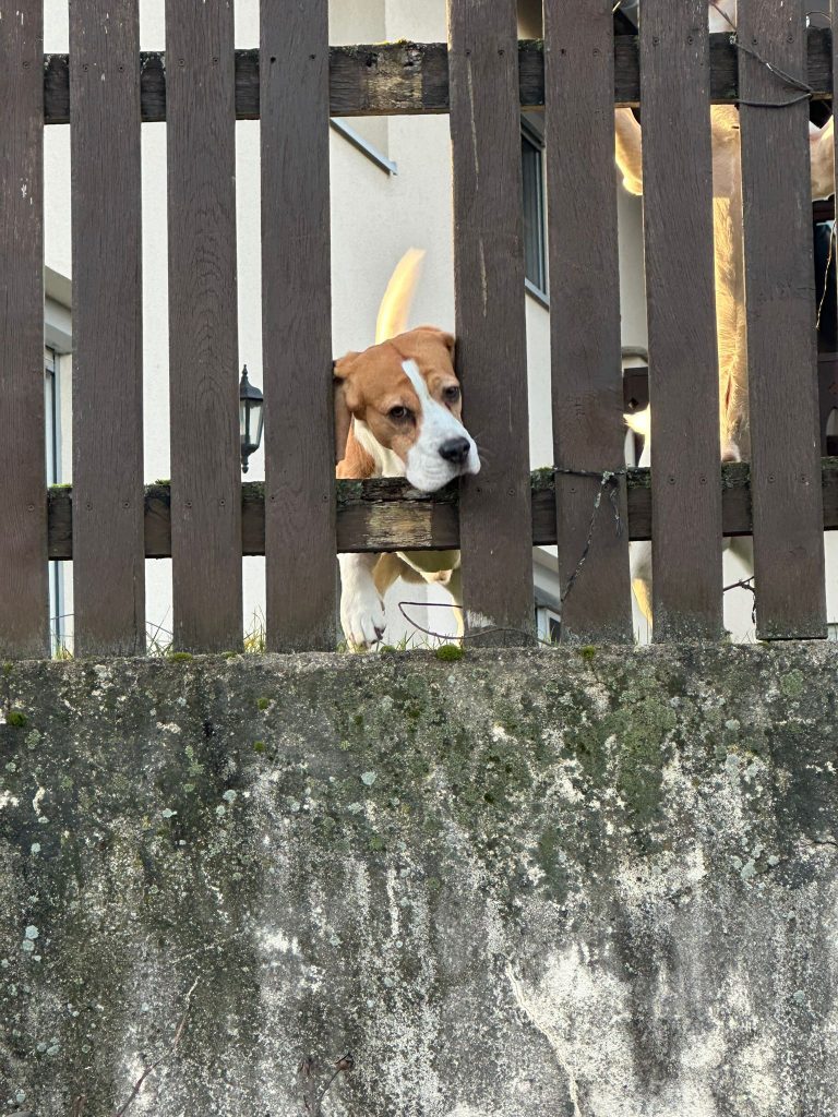 Wo bleibt sie denn???