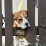 Wo bleibt sie denn???